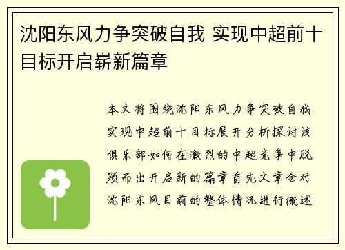 沈阳东风力争突破自我 实现中超前十目标开启崭新篇章